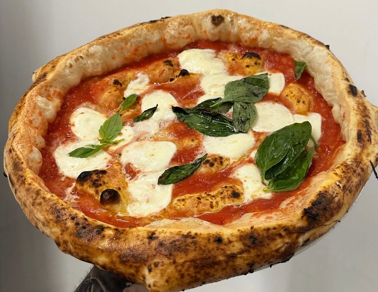 Pizza Bufalina